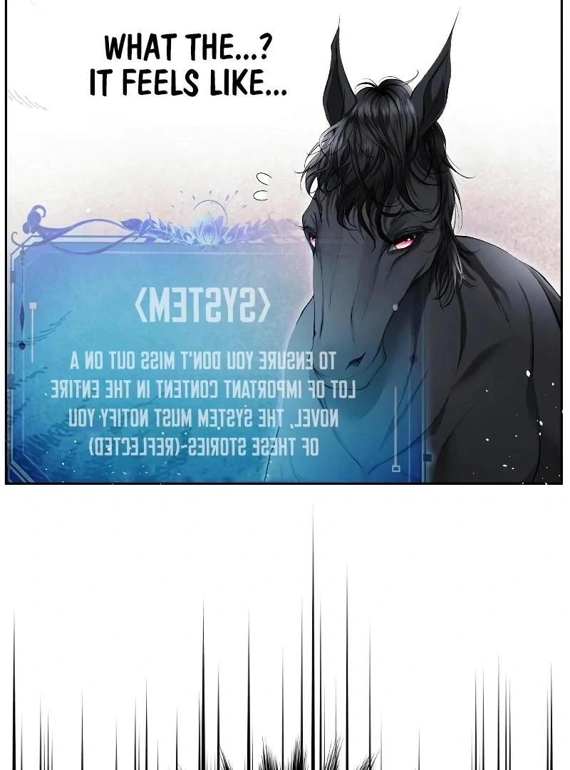 74288239 800 1080 73758